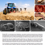 Soil Biodiversity and Agriculture (abridged version)