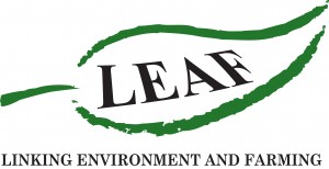 LEAF_LOGO_with_text-2016